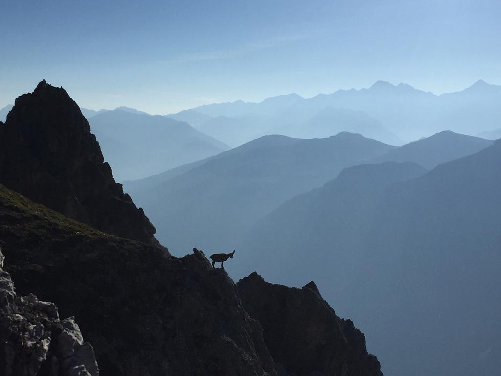 ホテル Alpenhaus Monte ノイシュティフト・イム・シュトゥーバイタール エクステリア 写真